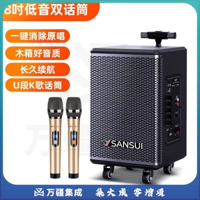 山水（SANSUI）TE06广场舞音响8英寸大功率低音炮移动户外K歌拉杆麦克风音箱扩音器无线话筒摊摆摊喇叭