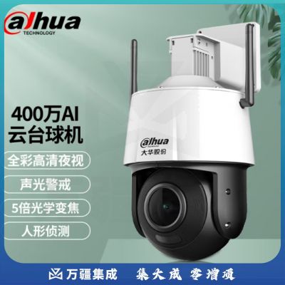 dahua大华dahua400万摄像头 网络高清无线旋转云台球机摄像头 全彩夜视 360°家用监控 400万变焦全彩+无内存卡