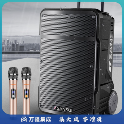 山水 A15 15英寸专业广场舞音响 舞台及户外移动音响