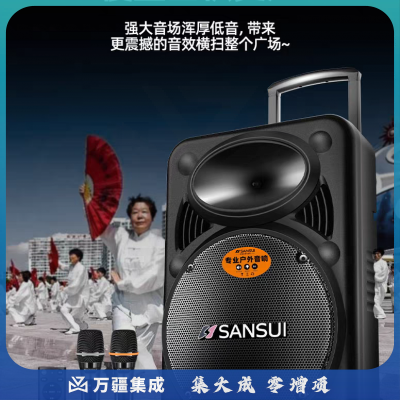 山水牌-户外大功率拉杆音箱 单话筒：弘百弘
