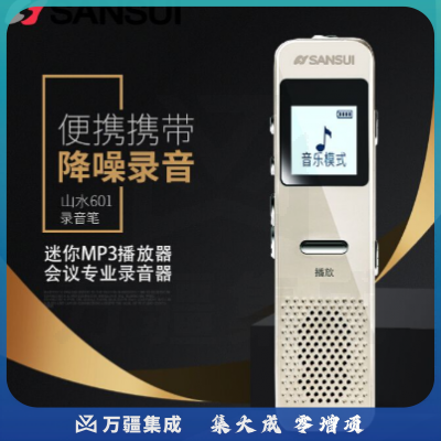 山水（SANSUI）录音笔 智能降噪会议专业录音器 迷你微型MP3播放器 H-601 8G 金色