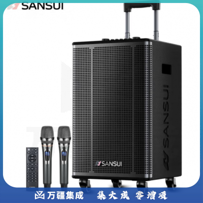 山水（SANSUI）E12广场舞音响 户外音响k歌演出移动便携式拉杆唱歌跳舞大功率重低音带无线话筒 12吋低音+双美声话筒