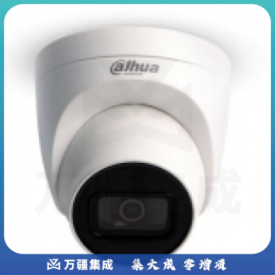 大华半球摄像机(含安装)