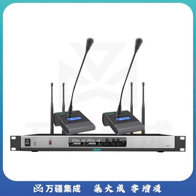 迪士普DSPPA D5824 无线话筒一拖二