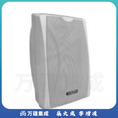 迪士普（DSPPA）DSP6063II 壁挂音箱（白色）