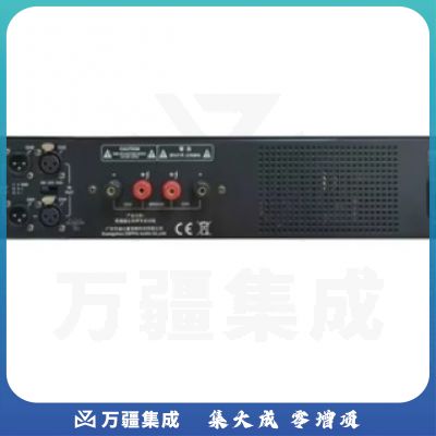 DSPPA迪士普DX3000双通道立体声数字功放