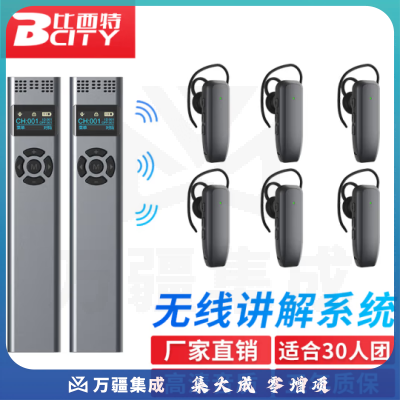 比西特919R无线讲解耳麦一对多政企接待会议讲解器一键关机导游带团电子解说器 双讲 30人听团套装