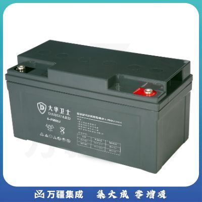 大华卫士（DAHGUARD）6-FM65J 胶体蓄电池 12V65AH