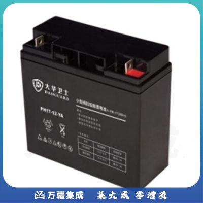 大华卫士（DAHGUARD）6-FM17J 蓄电池 12V17AH