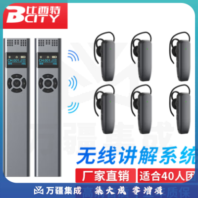 比西特919R无线讲解耳麦一对多政企接待会议讲解器一键关机导游带团电子解说器 双讲 40人听团套装