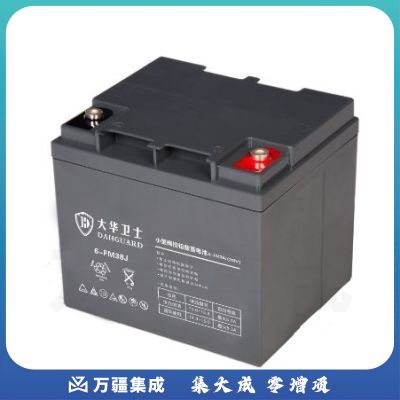 大华卫士（DAHGUARD）6-FM38J 胶体蓄电池 12V38AH