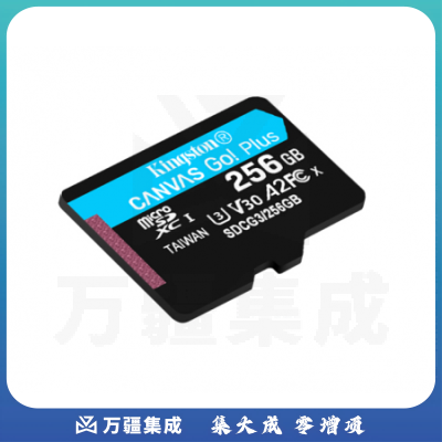 金士顿(Kingston)256GB U3 V30 A2 4K 极速版 switch内存卡 TF(Micro SD)存储卡 读速 170MB/s 写速90MB/s