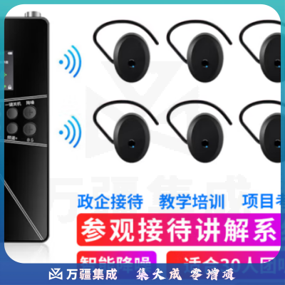 山水间P64R 无线讲解器 一对多讲解 户外教学同声传译 1讲 30人听 40孔USB