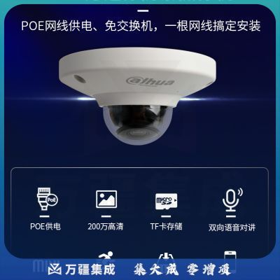 大华（Dahua）监控摄像头200万POE供电H.265防暴电梯半球摄像头内置MIC DH-IPC-HDP2230C-SA镜头3.6mm
