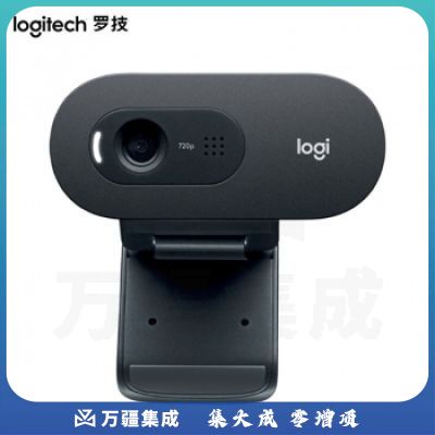 罗技(Logitech) C505e 高清网络摄像头 电脑办公摄像头 视频会议网课在线远程教育摄像头 C505e