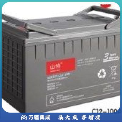 山特（SANTAK）C12-100AH 免维护 铅酸蓄电池