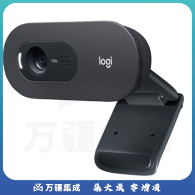 罗技（Logitech）C505e 高清摄像头720P 办公会议 网课教学