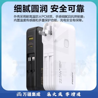 品胜（PISEN）带插头带双线10000毫安充电宝 22.5W快充 黑TS-D312