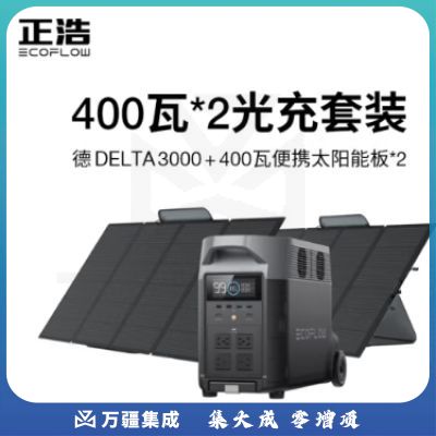 ECOFLOW正浩 【德3000 400W*2套装】快充移动户外电源220V 大功率应急停电医疗呼吸机家庭储能露营