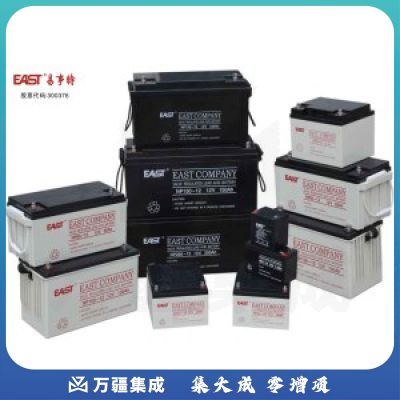 EAST易事特铅酸免维护蓄电池12V65AH (NP65-12)（单位：个）