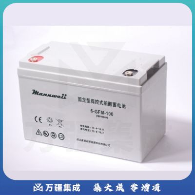 曼尼威(Mannweii) 12V100AH 不间断电源 铅酸蓄电池