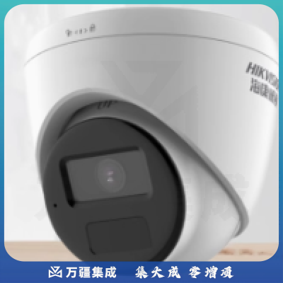 海康威视 监控摄像头300万 家用红外夜视可录音POE网线供电手机远程 DS-IPC-T13HV3-IA(2.8mm/PoE)(C)