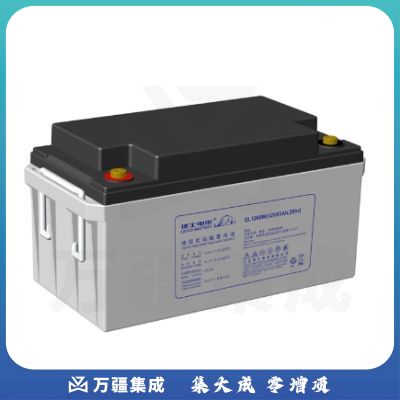 理士蓄电池DL1265W/12V65AH