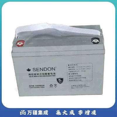 山顿（SENDON）6-GFM-65蓄电池（国产）