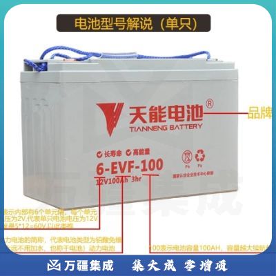 天能6-EVF-100铅酸免维护电池