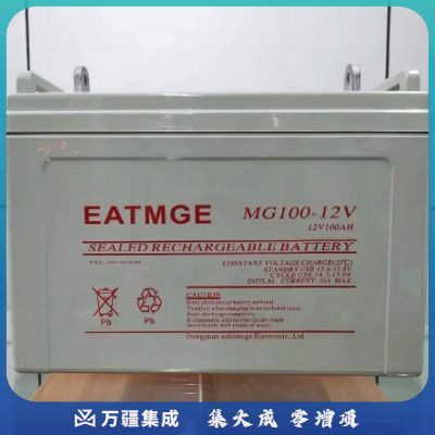 伊顿梅兰(EATMGE) 12V-38AH 铅酸免维护蓄电池（国产）