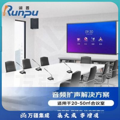 润普RP-JDYP280 音频扩声会议成集解决方案（会议麦克风+音响+调音台+音频处理器+数字移频器+时序电源）