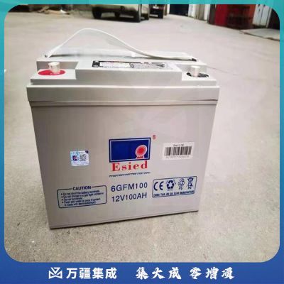 Esied蓄电池 6-GFM-100 12V100Ah