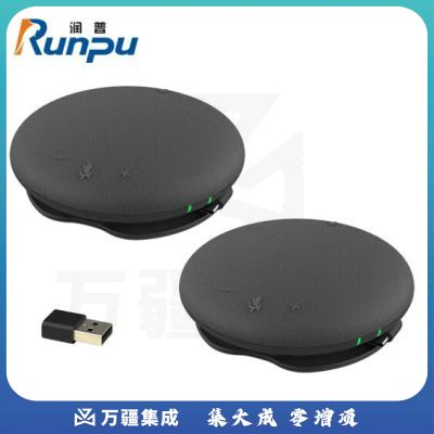 润普Runpu 智能语音算法/便携式/USB/蓝牙级联全向麦克风 RP-M55W*2 级联双麦款