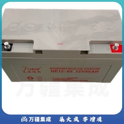 艾福瑞斯 12V 65AH 不间断电源 电池