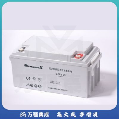 曼尼威(Mannweii) 6-GFM-65 不间断电源 铅酸蓄电池