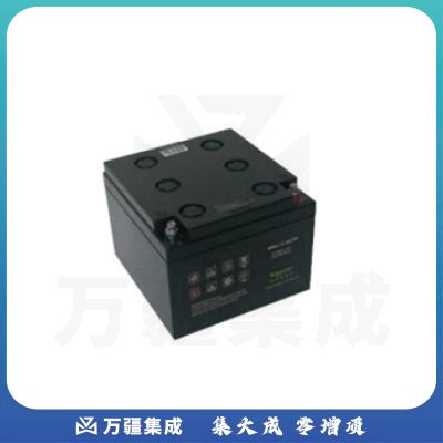 APC 12-200AH SFR 电池