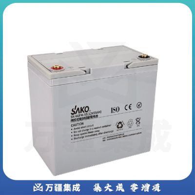 三科SAKO 12V55AH免维护铅酸蓄电池