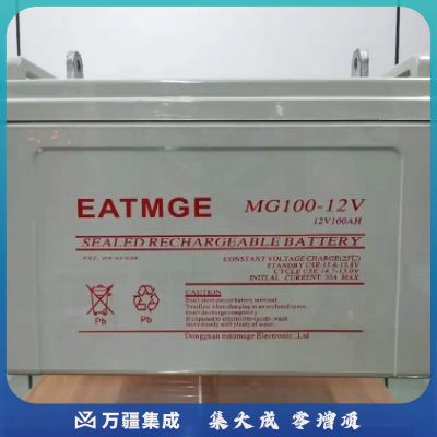 伊顿梅兰(EATMGE) 12V-65AH 铅酸免维护蓄电池（国产）