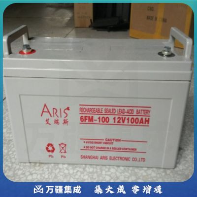 艾瑞斯12V-100AH不间断电源电池（只）
