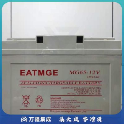 伊顿梅兰(EATMGE) 6GFM12-65 铅酸免维护蓄电池（国产）