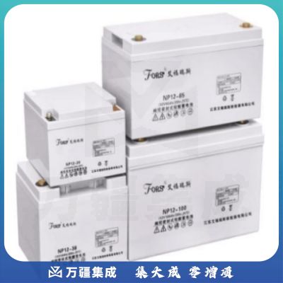 艾福瑞斯 6-DZF-20.2X(ZH) 不间断电源 电池