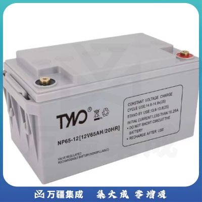 台诺12V65AH不间断电源电池（国产）