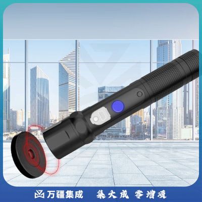 科密(comet) CX06 强光照明巡更棒 保安巡逻机打点机 电子巡更系统巡更机（配15个巡更点+5个人员扣）