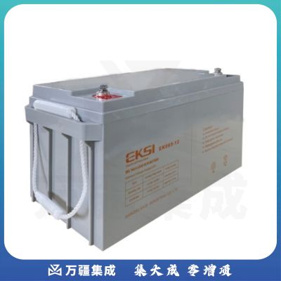爱克赛12V65AH免维护蓄电池（国产）