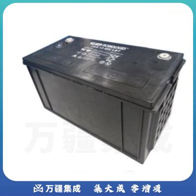 西恩迪C&D蓄电池12V65AH