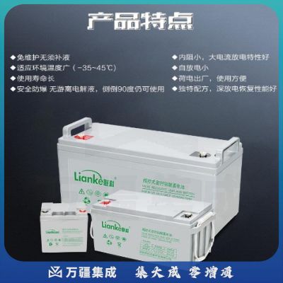 铅酸免维护蓄电池12V100AH