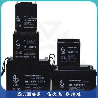 合创力 12V 65AH 胶体电池 电池