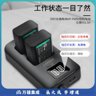 品胜 NP-FW50相机电池充电器套装 适用sony索尼a6000 a6400 a6100 a6500 a6300 a7rm2 a7m2 a7s2微单相机