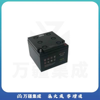 APC 12-65AH CFR 电池