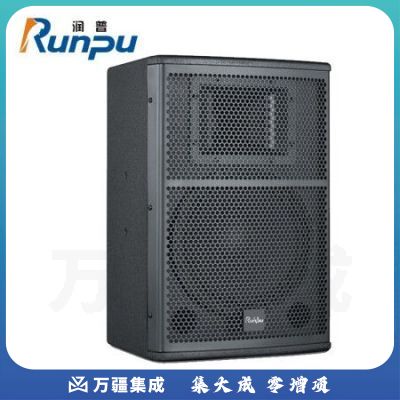 润普RP-AM15 国产化会议室音响/15英寸音箱（全频音箱）一对